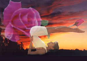 14x20_Halasana Rose
