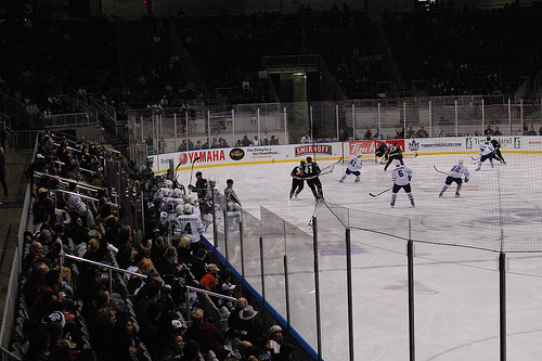 There is a maximum of 7,851 seats in Ricoh Coliseum for the Marlies' games.  Angelo Mazziotti.