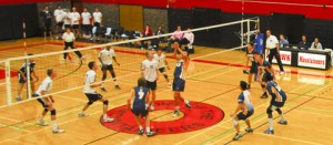 S-Mvball