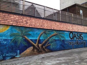 oasis
