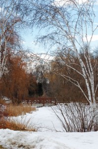 The Arboretum has received more than $100,000 from TD Canada Trust over the last decade. Photo by Danielle La Valle