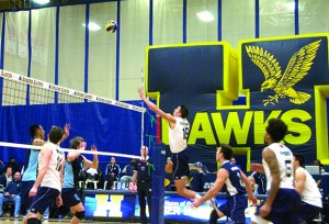 Andre Brown, one of the best men's volleyball players to ever don a Hawks uniform, has played his final season at Humber.